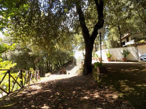 Hostal Room In Bb - Bb Il Leccio , Umbria