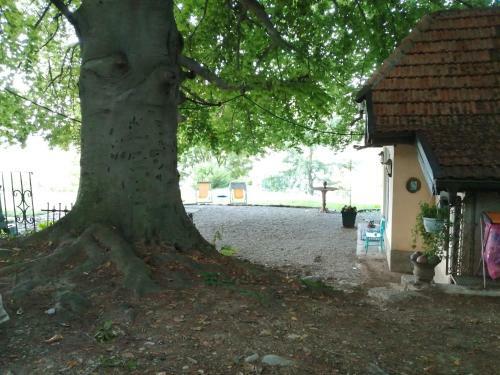 Cottage Sotto Il Faggio Centenario