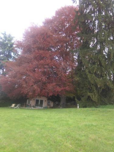 Cottage Sotto Il Faggio Centenario
