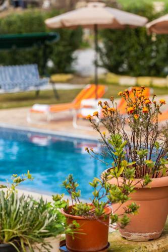 Villa Antheon-villa With Private Pool