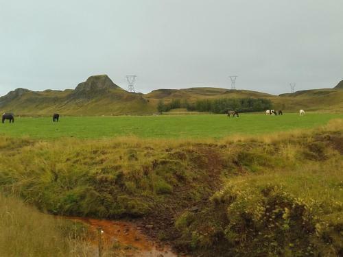 Lodge Au44 Cottages - Arngrimslundur