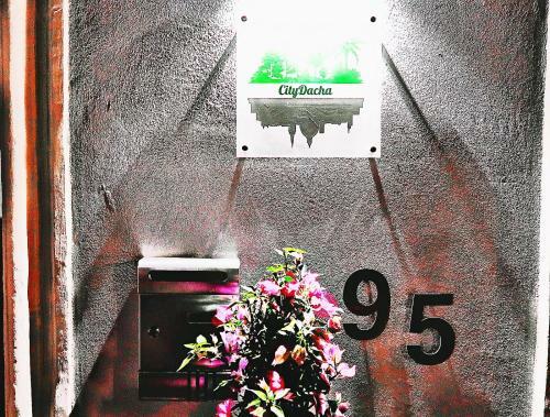 Hostal City Dacha
