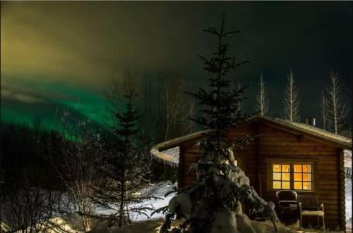 Arngrimslundur Log Cabin - Cabin 3