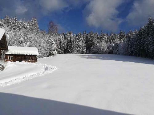 Apartamento Ferienwohnung Wei�