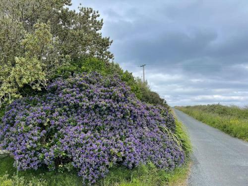 Villa Luxury Wild Atlantic Way Accommodation With Sea Views And Free Wifi