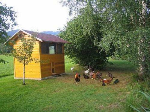 Apartamento Ferienwohnung Josef M�ller