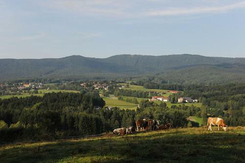 Hostal Exenbacher Hof - Pension