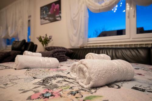 Apartman Vesna
