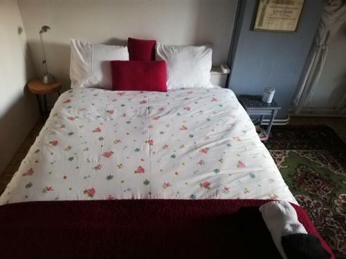 Bed And Breakfast Raapop