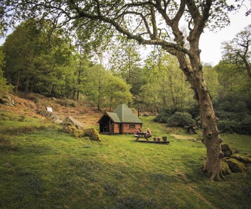 Cabin 1
