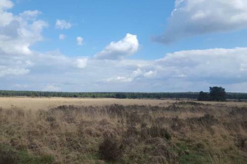 Apartamento Appartement Kemperberg