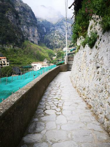 Fior D'arancio