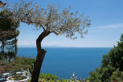 Villa Bijoux - Exclusive Pool And Sea View