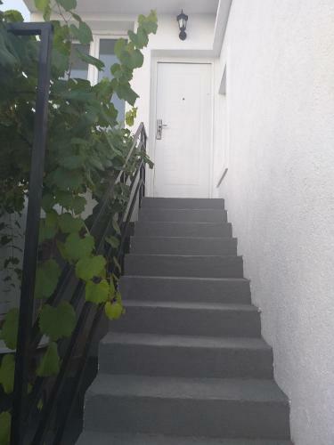 Hostal Apartments Odal