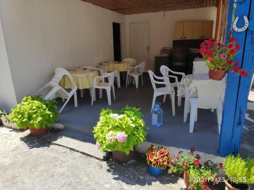Hostal Guest House - Marija Delija