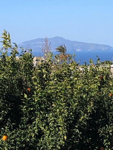 Apartamento Casa Maria Grazia