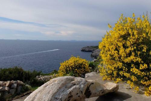 Apartamento Sea Symphony. Unbeatable Location!