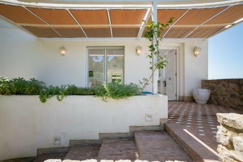 Villa Gli Ulivi