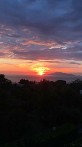 Villa Damecuta B&B