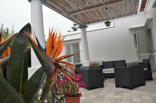 Villa Damecuta B&B