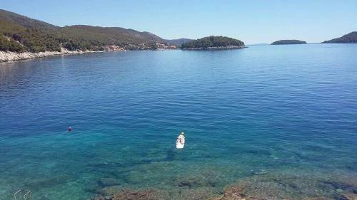 Apartmani Rotim