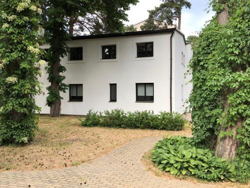 Apartamento Vien?bas Studio