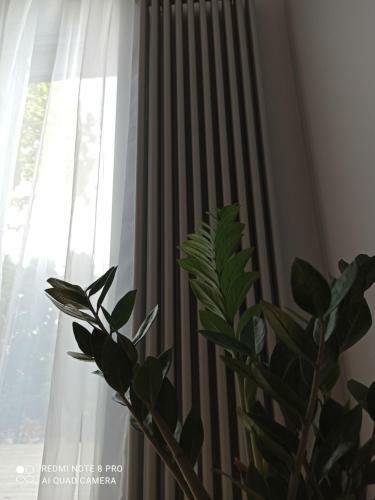 New Big Loft Apartments Jurmala With Free Secured Parking