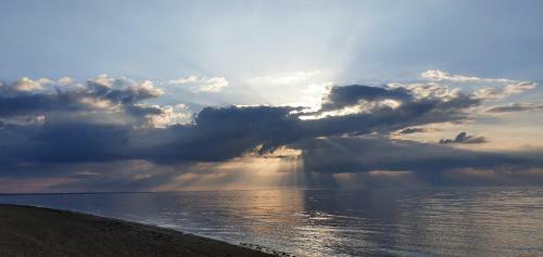 The Cat House Jurmala