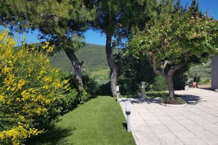 Casa Vacanze Bellavista