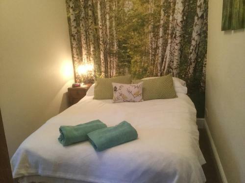 Bed & Breakfast Ty'n Y Gwynt