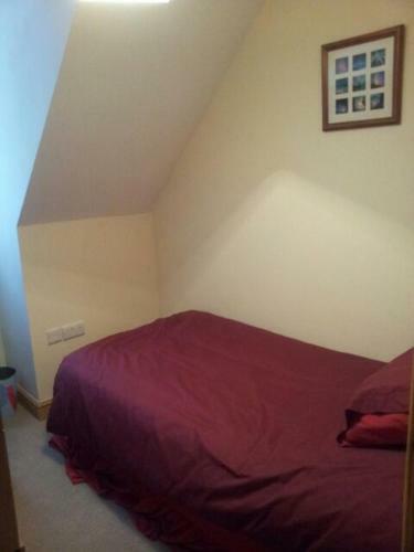 Bed & Breakfast Reallycoolaccomodation