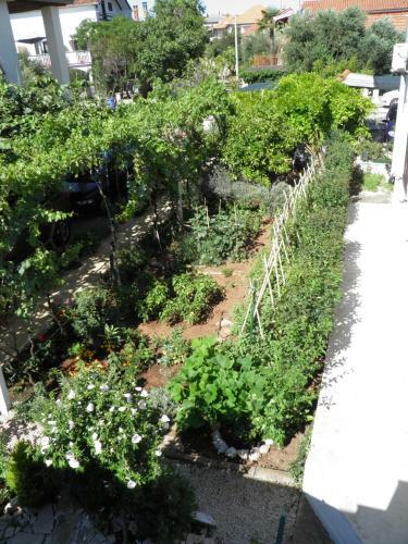 Apartman Mia Biograd