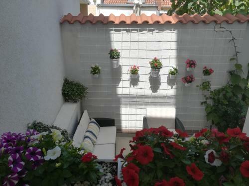 Apartmani Eladora