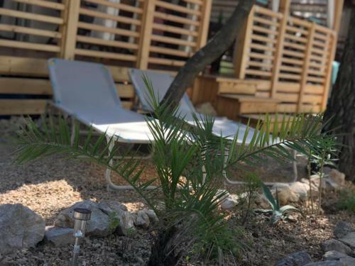 Mobile Homes Crystal Camp Soline