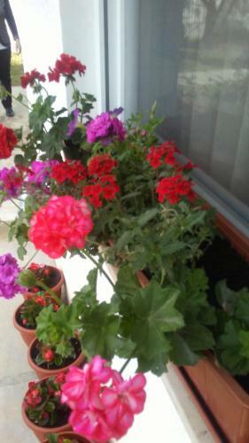Apartamento Josini Dvori