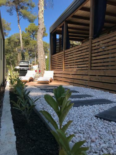 Modern Mobile Home Ani In Camping Park