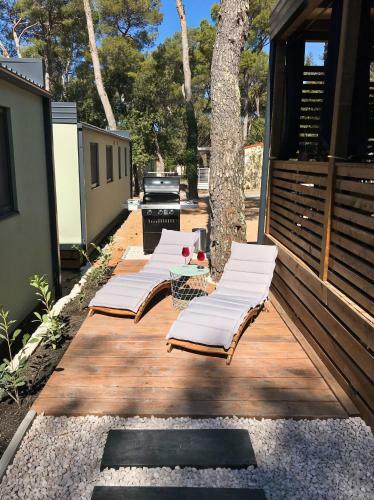 Modern Mobile Home Ani In Camping Park