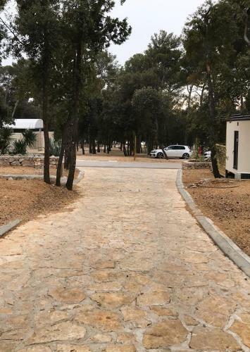Modern Mobile Home Ani In Camping Park