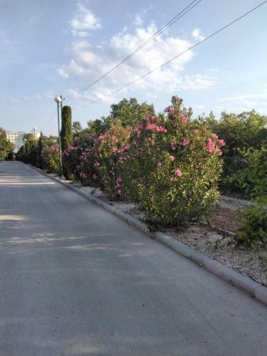 Mobile Home Dalmacija