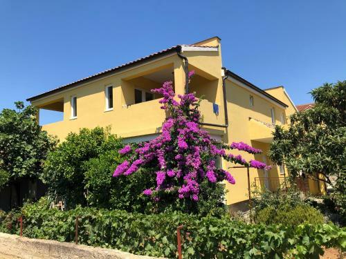 Apartmani Bm