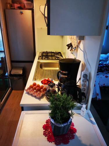 Mobilhome Grace Nr 504 Wirphool