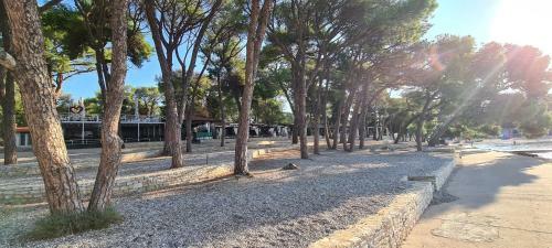 Hotel Mobile Home Noa
