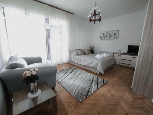 Apartman Centar ?are