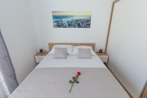 Apartamento Villa Suzana