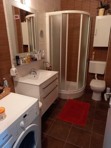 Apartman Silva