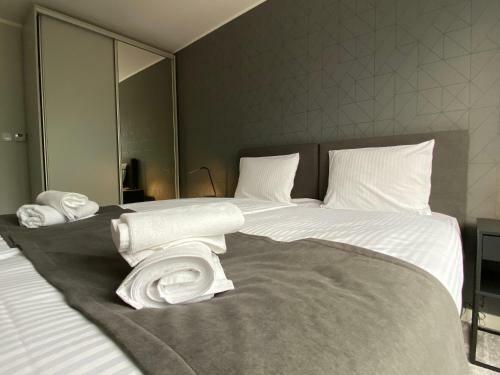 Apartamenty Centrum
