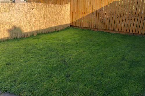 **hot Tub**eye Catching And Trendy**pet Friendly**