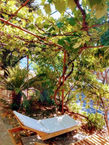 Olive Tree Apartments