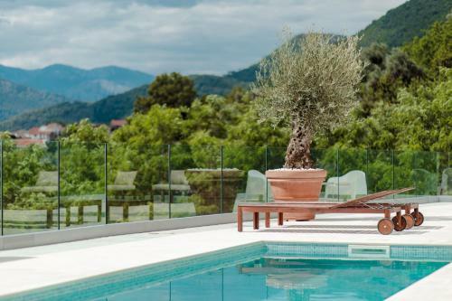 Villa Roc Blanc- Apartment