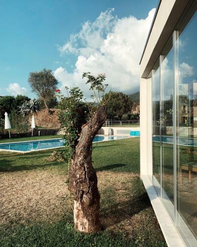 Villa La Casa Di Ester Nel Cilento